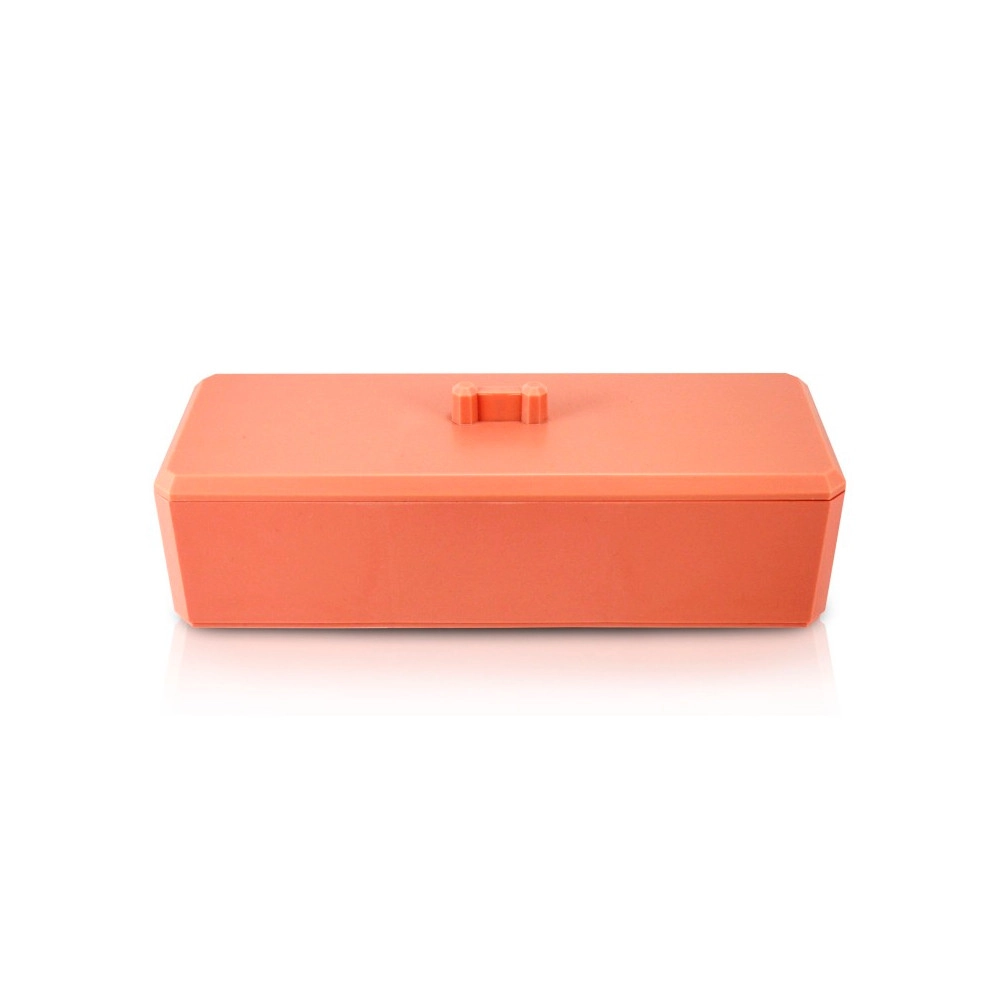  Organizador Multiuso com Tampa Jacki Design AGD20923 